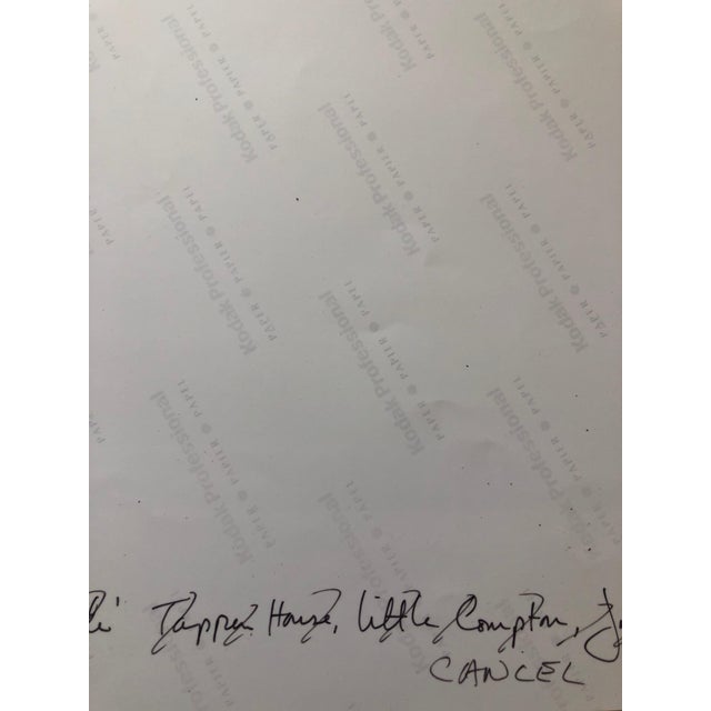 Peter C. Jones 1, Swiss Chard, Kitchen, Large Format Photo 24X20 Color Photograph Beach House RI, 2001 For Sale - Image 4 of 6