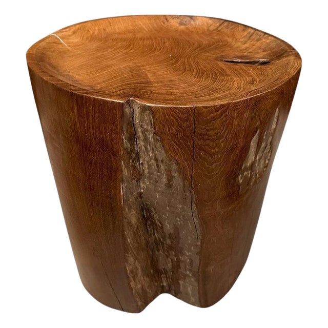 Andrianna Shamaris Sculptural Teak Wood Tray Side Table For Sale