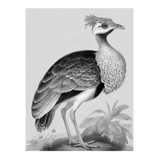 Great Bustard Bird — Black & White Fine Art Print | Unframed For Sale