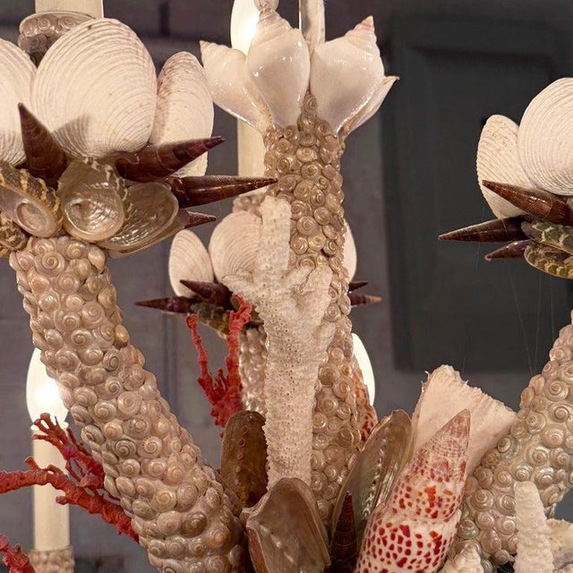 1990s Coastal Grand French Hand-Crafted Grotto Nautical Multi-Stem Coral Shell Chandelier For Sale - Image 14 of 16