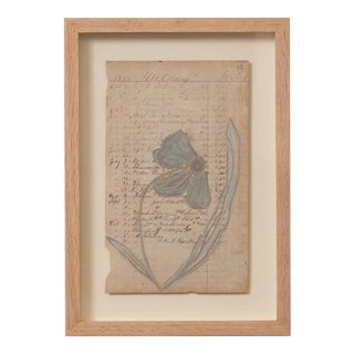 Floral Study VIII by Afsoon Thayer For Sale