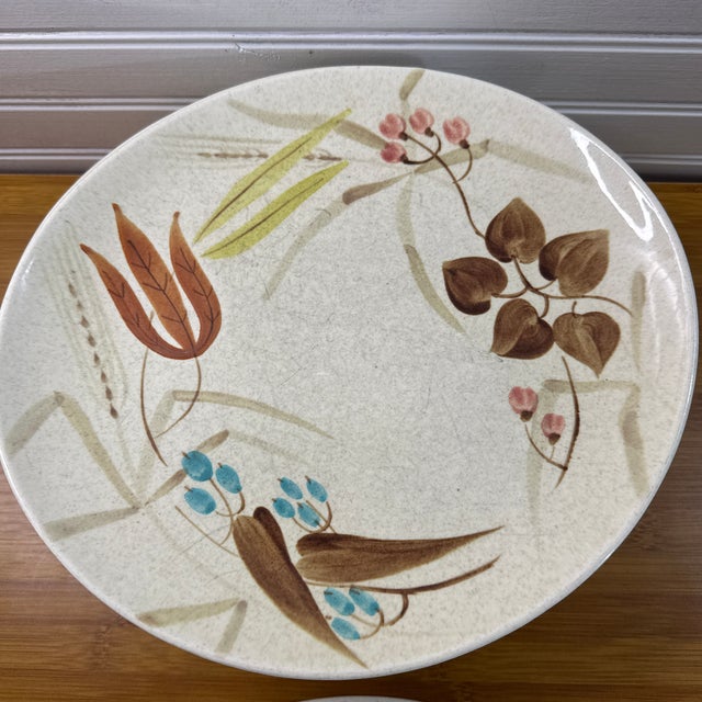 Red Wing Pottery 1950s Mid-Century Modern Red Wing Random Harvest Plates - Set of 11 For Sale - Image 4 of 12