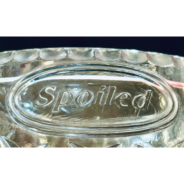 Cat or dog, food or water this lovely cut crystal pet bowl can handle it all in style. ‘Spoiled’ impressed in oval on the...