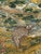 Antique 18th Century French Needlepoint Tapestry For Sale - Image 11 of 18