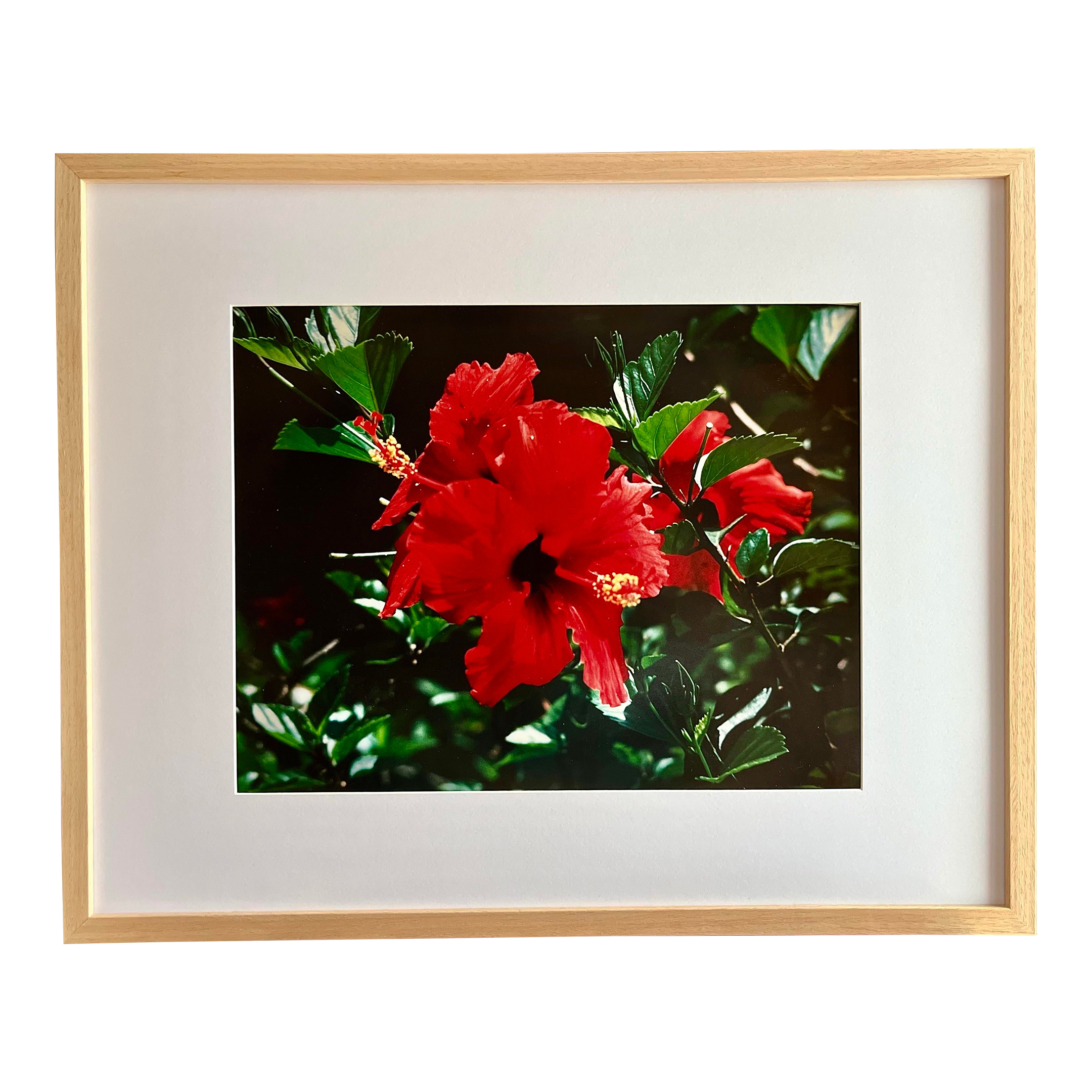Antiques and Art Collection - For Sale | Chairish