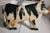 This hand carved & painted folky cow wood hanging double sided trade sign.This carved cow has the original metal chain and...