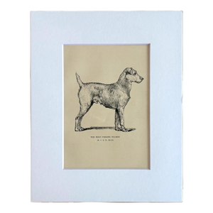 Antique Dog Print in 8 x 10 Mat, ca. 1890: "The Irish Terrier Pilgrim"