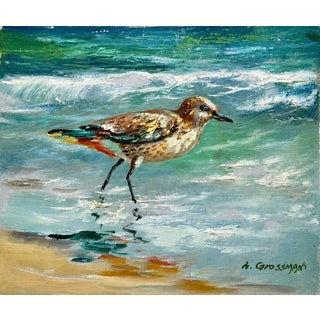 Coastal Sandpiper Oil Painting on Canvas by A. Grossman, 8 X 10" For Sale