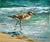 Coastal Sandpiper Oil Painting on Canvas by A. Grossman, 8 X 10" For Sale
