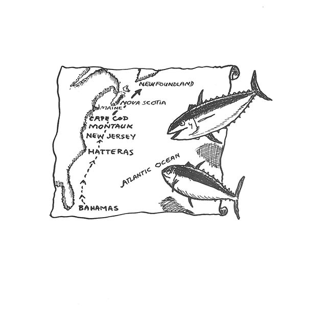 Traditional "Tony the Tuna" 1975 Farrington, S. Kip Jr. For Sale - Image 3 of 6