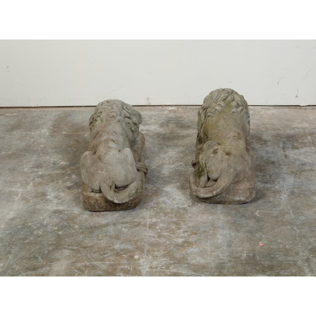 Stone Pair of English 1920s Cast Stone Reclining Lion Sculptures on Conforming Bases For Sale - Image 7 of 10