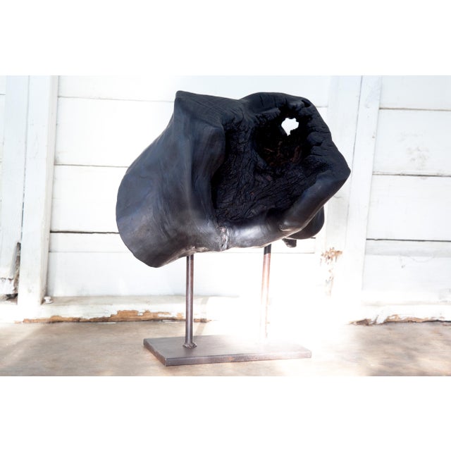 MATKA (Hindi, earthen pot) Pecan wood, welded steel. Created 2022. Inspired by Nature, the Elements and the Infinite...