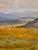 Charles Abel Corwin -1910s Springtime California Poppy Field-Oil Painting For Sale - Image 4 of 7