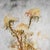 Giovanni Lovetti, Floral Scene, Oil on Canvas For Sale - Image 3 of 5