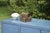 2020s Matthew Izzo Home Lizzo Reptile Textured Brass Aluminum Decorative Box With Lid For Sale - Image 5 of 5