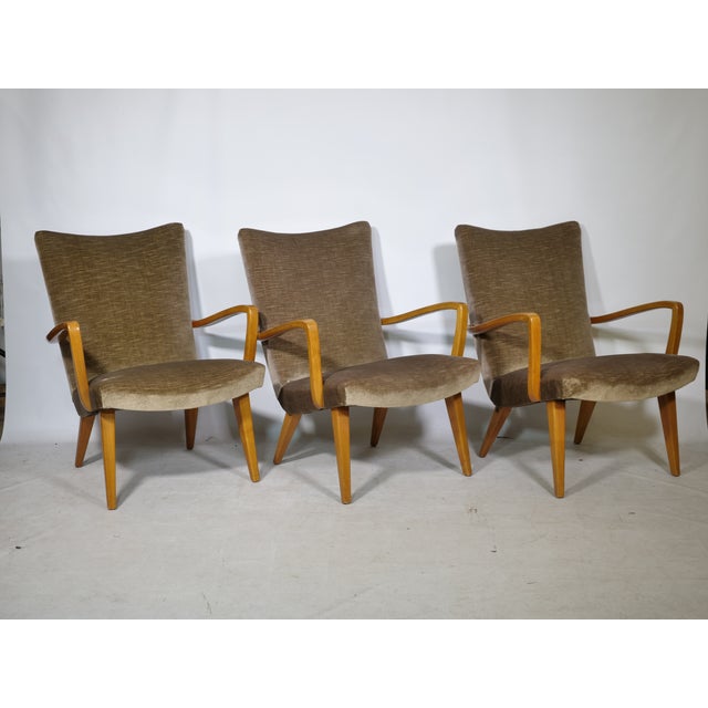 1960s Mid-Century Modern Lounge Chairs with Velour Fabric, 1960s, Set of 3 For Sale - Image 5 of 11