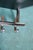 Minimalist Coat Rack with Tubular Chrome Frame, 1980s For Sale - Image 6 of 12