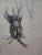 Edouard Goerg, Anthropomorphic Trunk, Ink on Paper For Sale - Image 5 of 5