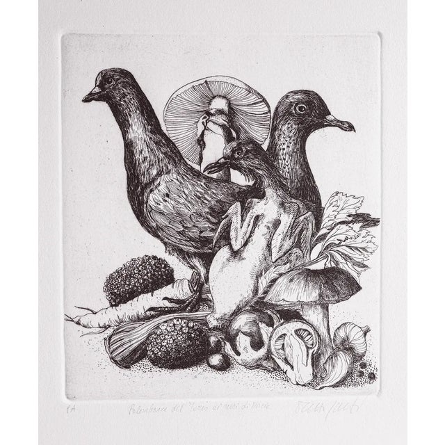 Angela Occhipinti, Wood Pigeons with Black Pigeons from Norcia: Author's Proof, 1950, Engraving For Sale