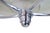 Metal Ceiling Lamp with Bird Motif with Original Chrome Plating, 1930s For Sale - Image 7 of 10