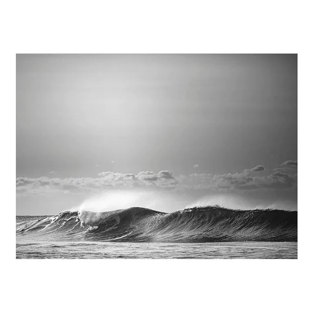 Winter morning by Daniel Weiss Print, 20" x 30" For Sale