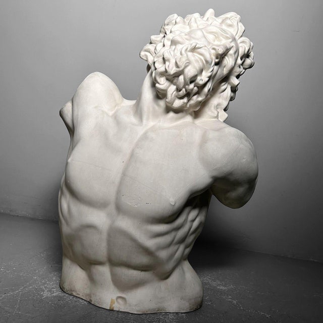 Plaster Bust of Laocoön, 1960s For Sale - Image 9 of 18