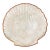 Mid 20th Century Capiz Shell Scallop Shell Tray With Brass Trim Large 11" For Sale