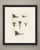 This antique bird print shows a comparative plate of six figures lettered fig i to fig vi, showing bills and heads from...