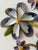Linen Vintage Coastal Mixed Media Seashell Floral Wall Art in Painted Frame For Sale - Image 8 of 12