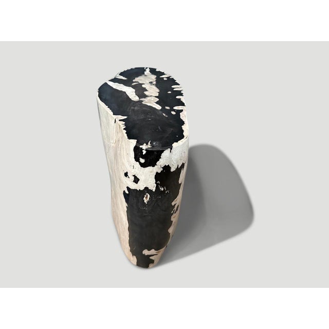 2010s Andrianna Shamaris Striking Ancient Petrified Wood Side Table For Sale - Image 5 of 6