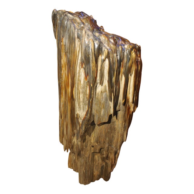 Big Petrified Wood Sculpture by Xyleia Petrified Wood For Sale