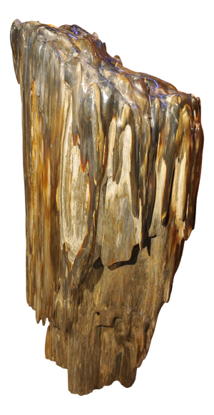Big Petrified Wood Sculpture by Xyleia Petrified Wood