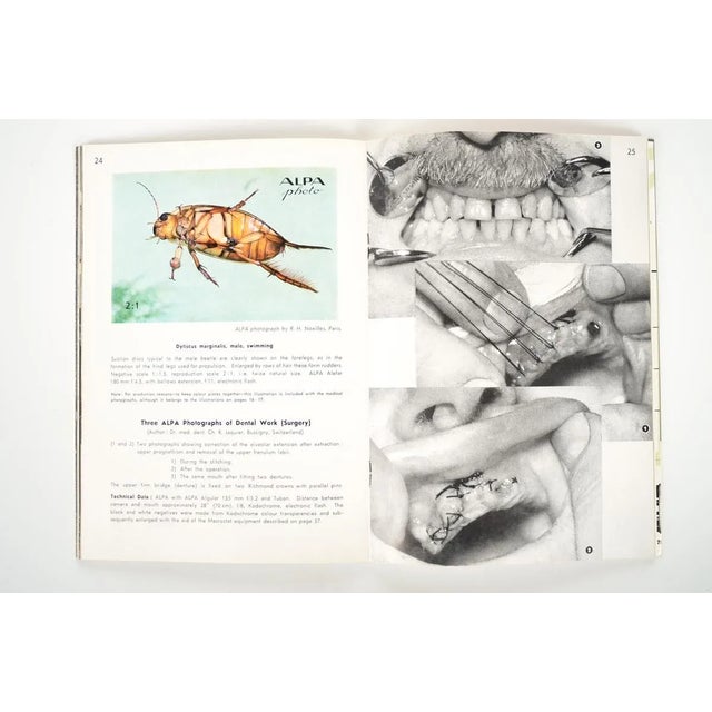 Macro & Micro Photography For Sale In Los Angeles - Image 6 of 10