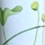 Hermès Vintage French Country Hermès "Nil" Porcelain Mugs With Lotus Motif with Gold & Silver Trim – Set of 2 For Sale - Image 4 of 7