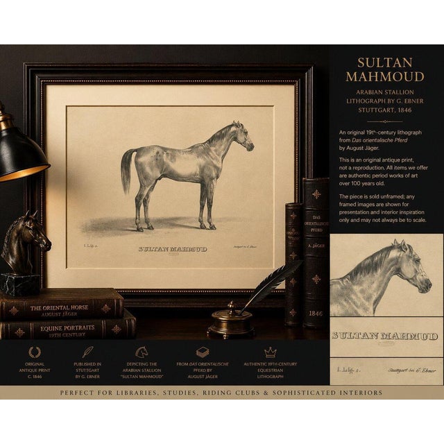 Black G. Ebner, Sultan Mahmoud, 1846, Lithograph For Sale - Image 8 of 9