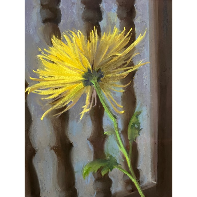 Massachusetts native Janet Monafo's stunning works have brought her nationwide recognition and success throughout a career...