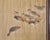 Japanese Taishō/Shōwa Painting Flock of Ducks in Winter Pond For Sale In Sacramento - Image 6 of 18