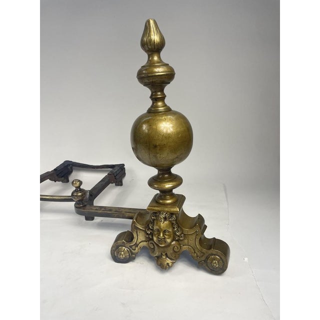 Antique Golden Bronze Wing, 1800s For Sale - Image 3 of 17