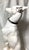 1960s Large Tall Ceramic Whippet Greyhound Dog 28” Tall For Sale - Image 9 of 12