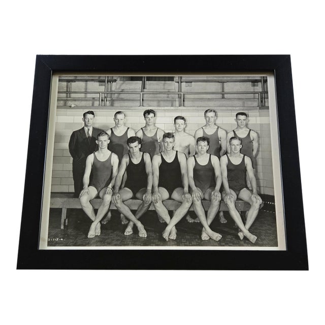 Antique Photograph: University of Minnesota Men's Swimming Team 1940-1941 For Sale