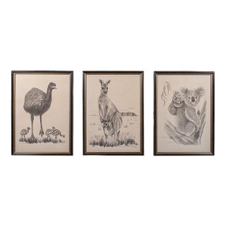 Vintage Wildlife Picture Trio, Australian Interest, Framed Prints, Animal Art For Sale