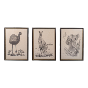 Vintage Wildlife Picture Trio, Australian Interest, Framed Prints, Animal Art