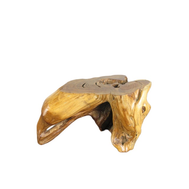 Inspired by the beauty of natural wood formation, this organic natural wood table top block sculpture is handcrafted from...