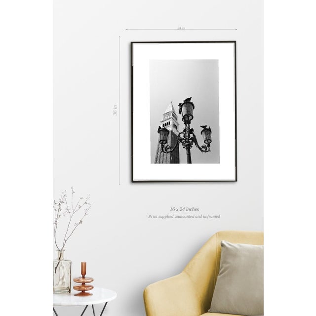Paul Cooklin, Pigeons, Saint Marks Square, Edition of 50 For Sale - Image 4 of 7
