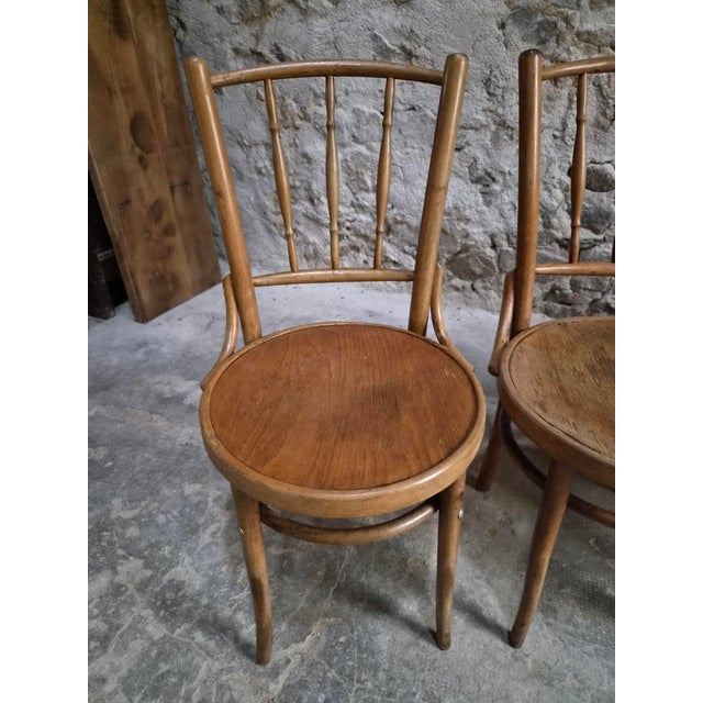 Wood Vintage Bentwood Bistro Chairs from Fischel, Czechoslovakia, 1940s, Set of 4 For Sale - Image 7 of 18