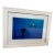 Brian Skerry Sharks on Assignment Great White Photograph, Framed For Sale