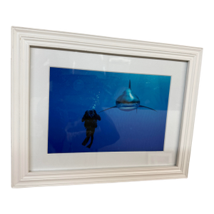 Brian Skerry Sharks on Assignment Great White Photograph, Framed