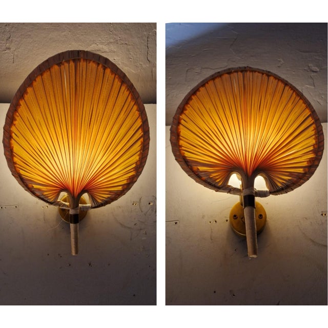 Beige Fan Wall Lights in the style of Ingo Maurer, 1970s, Set of 2 For Sale - Image 8 of 13
