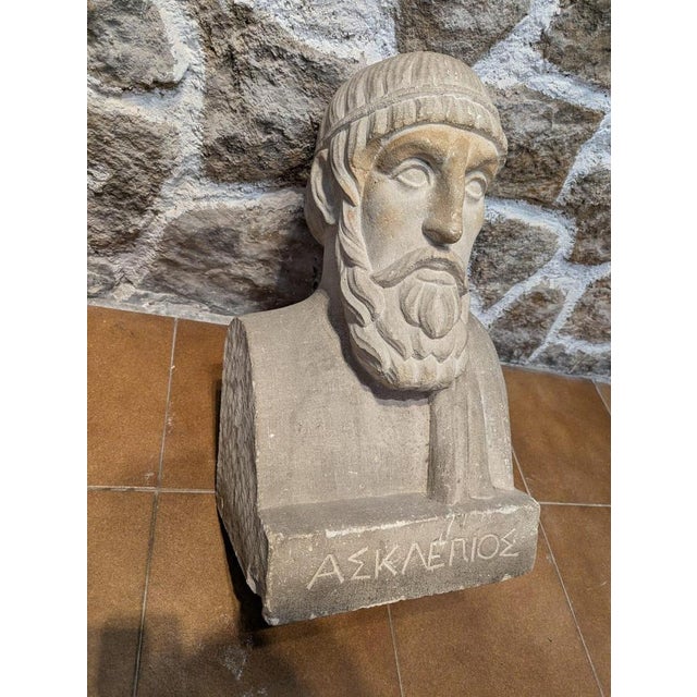 French School Artist, Bust of Aesculapius, 19th Century, Stone For Sale - Image 4 of 13