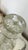 Mid-Century Modern Vintage French Four-Section Glass Bar Decanter With Spouts For Sale - Image 3 of 18